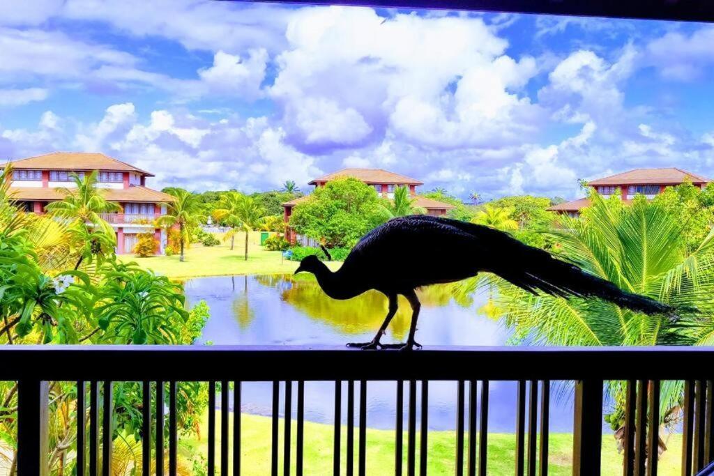 Villa Pé na areia - Furstberger Praia do Forte Esterno foto