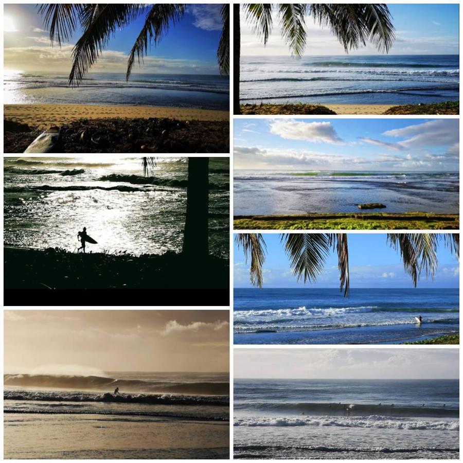 Villa Pé na areia - Furstberger Praia do Forte Esterno foto